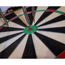 Dartbord Professional Razor-Web Bristle