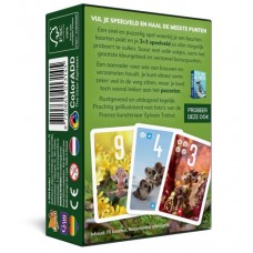 Pixies kaartspel - NL -Gaminbiz
