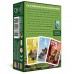 Pixies kaartspel - NL -Gaminbiz