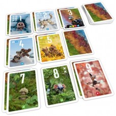 Pixies kaartspel - NL -Gaminbiz