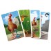 Rooster Chase kaartspel Pythagoras Rooster Chase kaartspel Pythagoras