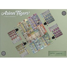 Asian Tigers bordspel Pythagoras
