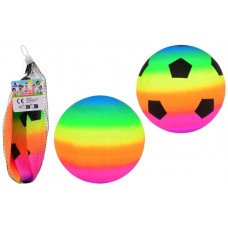 Bal Regenboog maat 3, 2 stuks in net Bal Regenboog maat 3, 2 stuks in net