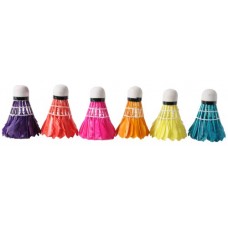 Badminton-Shuttles veren KLEUR 6 in koker Badminton-Shuttles veren KLEUR 6 in koker