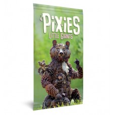 Pixies - Little Giants uitbr.NL
* Pre-order, week 42 * Pixies - Little Giants uitbr.NL
* Pre-order, week 42 *