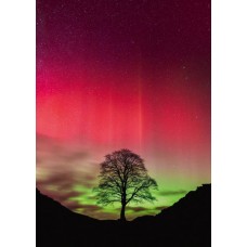 Puzzel Sycamore Gap 1000 Heye 30065