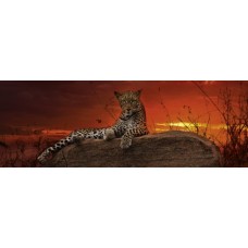 Puzzel Red Dawn,Hum.2000 Pan.Heye 29608