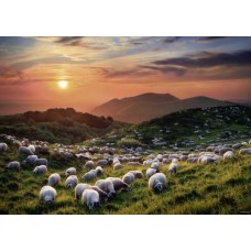 Puzzel Sheep Volcanoes 1000 Heye 29977
* levertijd onbekend *